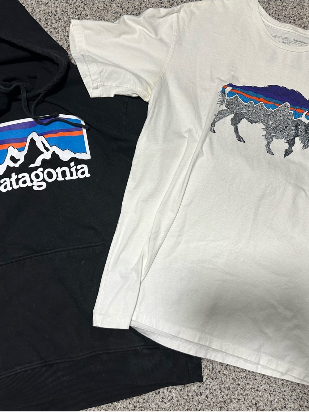 Patagonia Black Hoodie & White Graphic Tee - 2 Pack